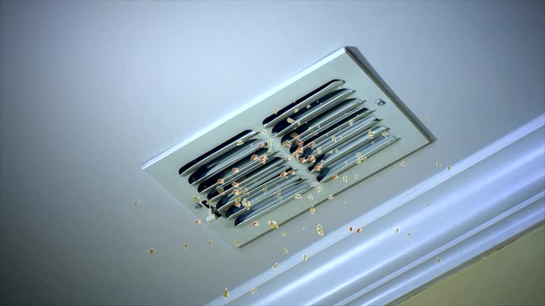  Cypress Gardens, FL Airduct Cleaning Pros