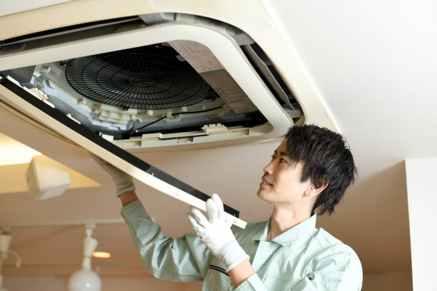 Best Ductwork Cleaning Services  in Cypress Gardens, FL