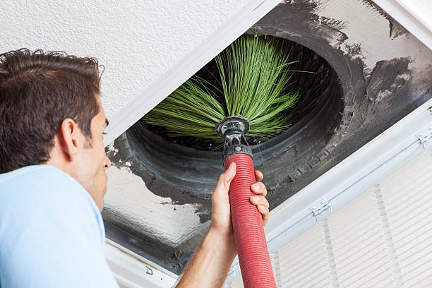 Best Air Duct Cleaning Near Me  in Cypress Gardens, FL